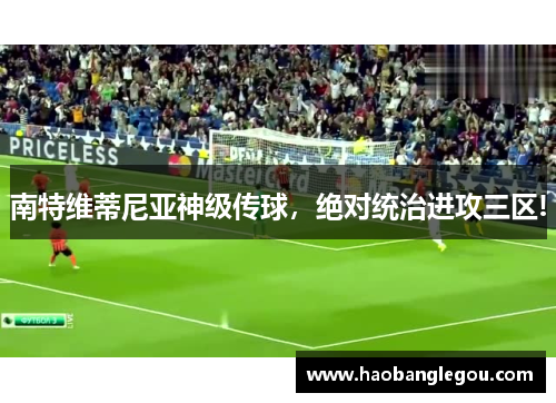 南特维蒂尼亚神级传球，绝对统治进攻三区!