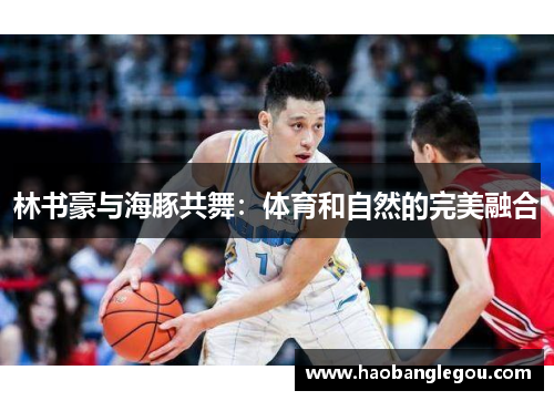 林书豪与海豚共舞：体育和自然的完美融合